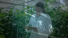 Researcher tapping tablet inside greenhouse, updating holographic data charts for crop monitoring. Agriculture, technology, innovation, sustainability, precision, environment, visualization - Powered by Shutterstock - Get 15% off with code: PIKWIZARD15