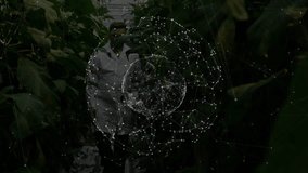 Botanist in farm greenhouse inspecting vines as digital sphere floating before him monitoring data. Botany, technology, innovation, research, sustainability, science, agriculture - Powered by Shutterstock - Get 15% off with code: PIKWIZARD15