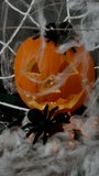 A small black spider crawls on a pumpkin with a white web with flashing lights, the concept of the Halloween holiday - Powered by Shutterstock - Get 15% off with code: PIKWIZARD15