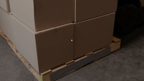 Glowing globe materializing before palleted boxes, radiating lines forming network connecting nodes. Technology, data, innovation, connectivity, digital, logistics, industrial - Powered by Shutterstock - Get 15% off with code: PIKWIZARD15