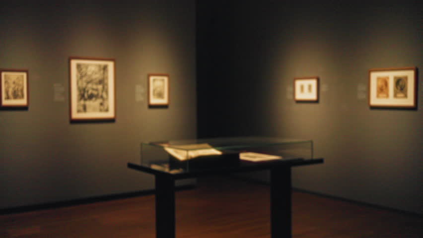 Art gallery with blurred paintings and defocused lighting, showcasing a serene, indoors museum ambiance with framed pictures on the wall and a glass display case.