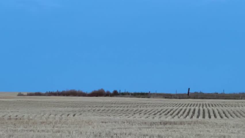 Peaceful Alberta countryside farmland view with wide open fields, grain bins, and rolling hills captured while driving through rural Canada on a calm autumn day.