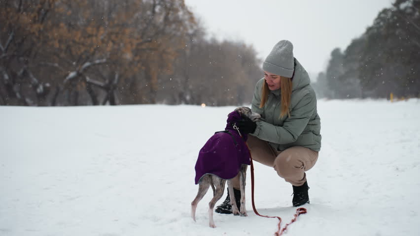 Woman crouching in snow gently caressing dog wearing purple coat during peaceful winter walk, surrounded by soft snowfall, expressing affection and care in tranquil natural setting