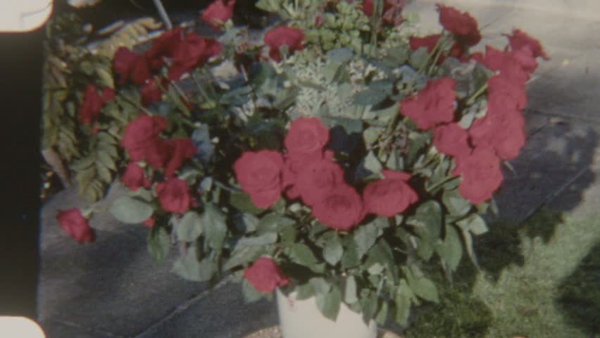 An 8mm film clip centers on a large bouquet of deep red roses in a white vase, their vibrant petals standing out against a softly blurred background of a patio and lawn