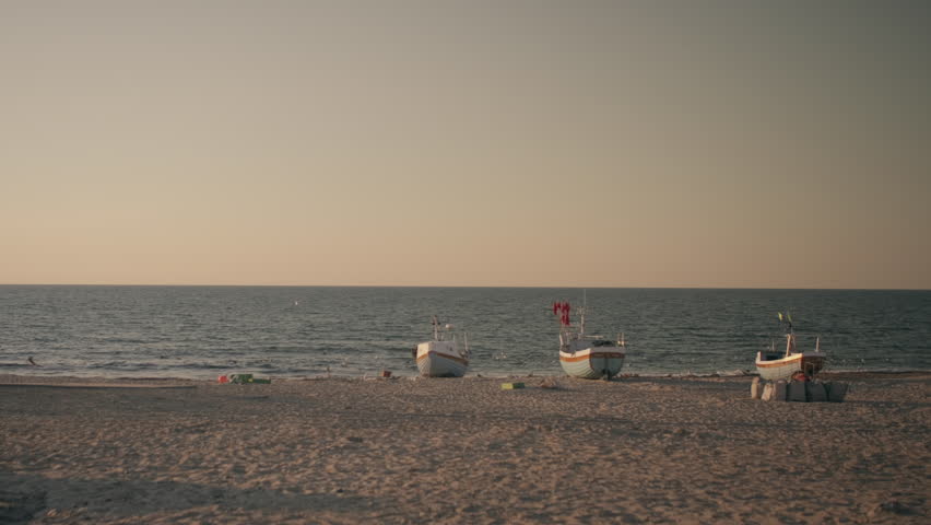 Static wide shot of boats on a sandy beach with rolling ocean waves, a distant horizon, and birds wandering and flying overhead