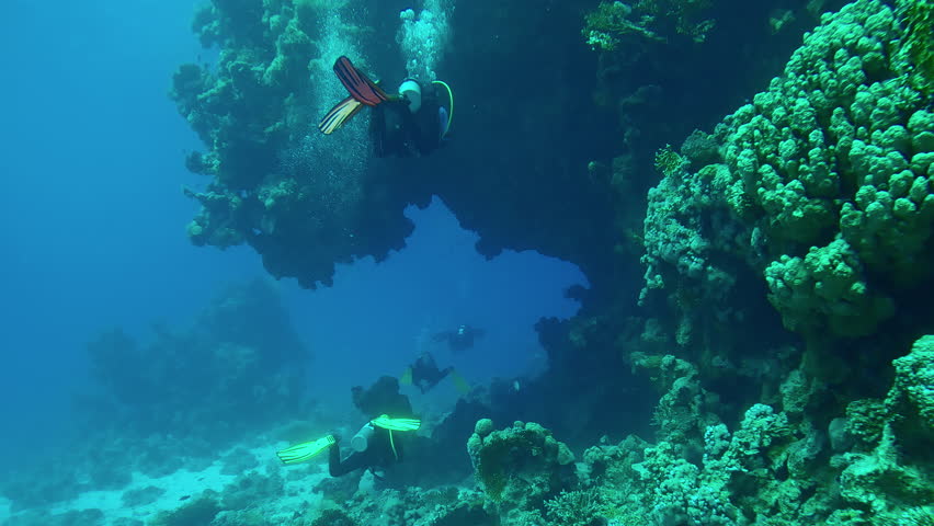 Back view of divers swimming one after another under large coral overhang on blue water background, Slow motion of group of scuba divers swim under huge overhanging coral wall