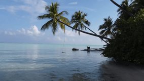 Aerial drone view of Maldives tropical beach with turquoise water, palm trees and swing, sandy shore, leaning palm over ocean, stunning paradise island travel destination scenery. - Powered by Shutterstock - Get 15% off with code: PIKWIZARD15