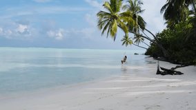 Aerial drone view of Maldives tropical beach with turquoise water, palm trees and swing, sandy shore, leaning palm over ocean, stunning paradise island travel destination scenery. - Powered by Shutterstock - Get 15% off with code: PIKWIZARD15