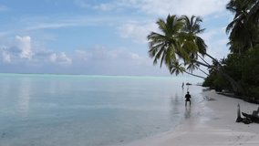 Aerial drone view of Maldives tropical beach with turquoise water, palm trees and swing, sandy shore, leaning palm over ocean, stunning paradise island travel destination scenery. - Powered by Shutterstock - Get 15% off with code: PIKWIZARD15