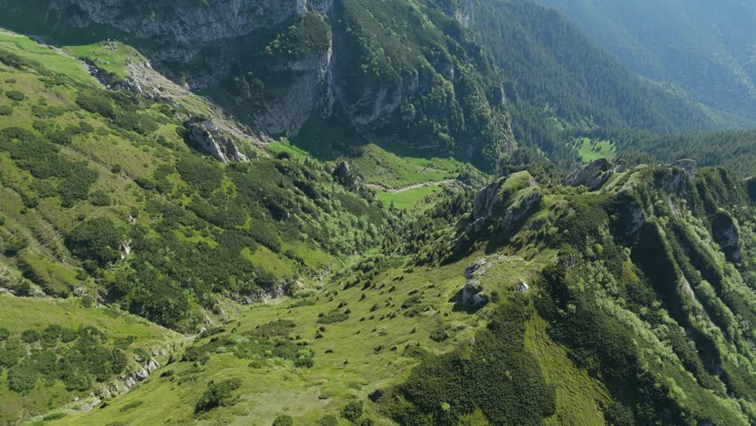 Scenic aerial panorama of Poarta Valley and hiking trail from Bran towards Scara Peak, view from Tiganesti Refuge, Bucegi Mountains, rocky formations covered with lush green summer vegetation, Romania