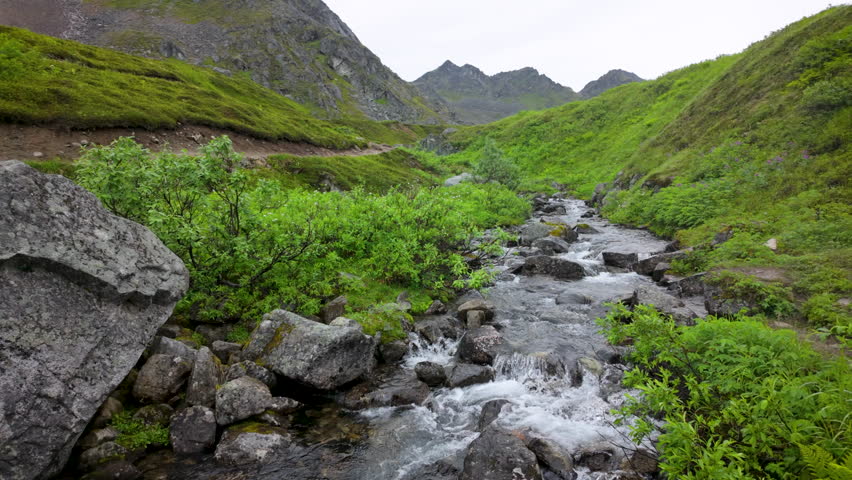 A Stream in a mountain of Alaska