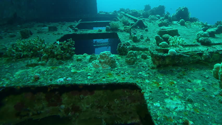 Close-up of coral-covered wheelhouse with windows of Salem Express ferry, Wreckship in Red Sea, Slow motion, Details of sunken ship in the depth sea
