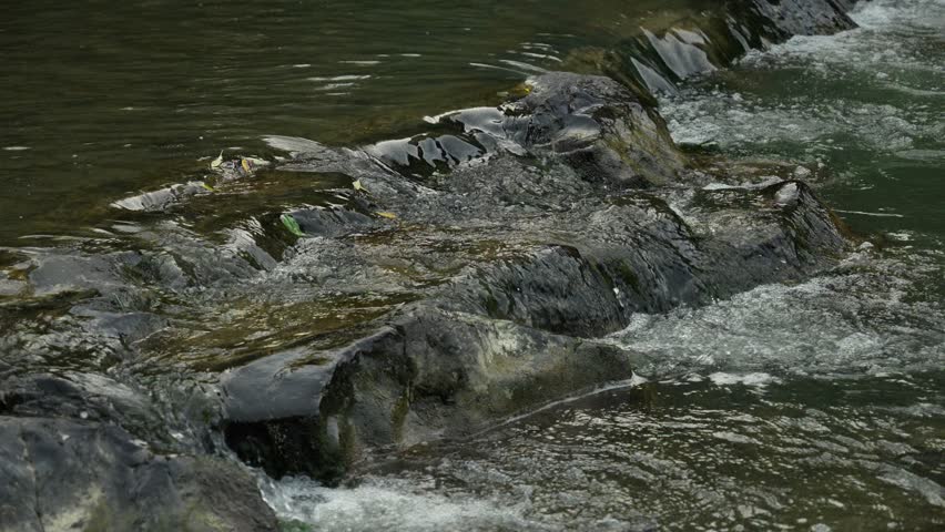 Carpathian river with a rapid and stones. cloudy weather