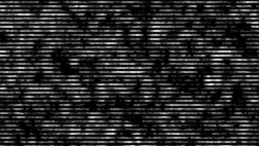 Black and white glitch static with horizontal scan lines and distortion.