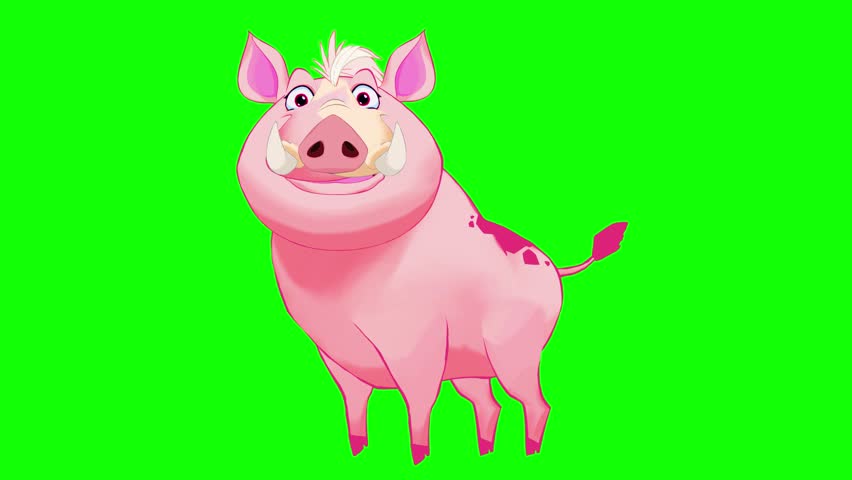 Pig Animation on Green Screen