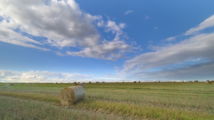 A Serene and Picturesque Rural Landscape Showcasing Hay Bales Set Under a Beautiful Blue Sky