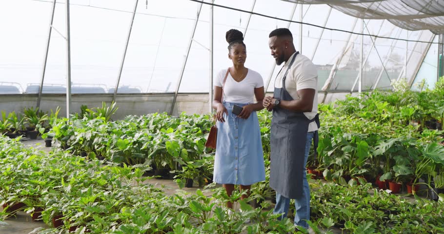 Horticulturist guiding visitor tapping smartphone and analyzing plant data among nursery benches. Botanical, technology, innovation, growth, urban, education, expertise