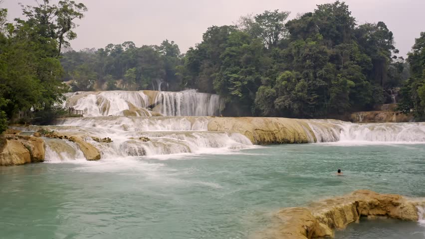 An aerial drone shot of man swimming in the Cascadas de Agua Azul in Chiapas, México, showing the brilliant turquoise water of a natural swimming pool.
