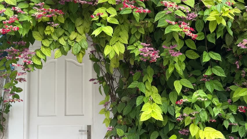 A white door surrounded by lush foliage and blooming flowers