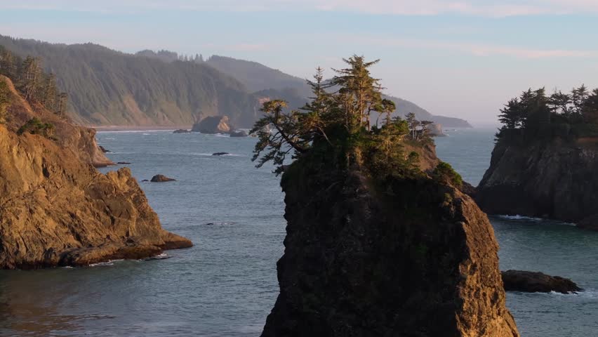 Scenic view of Oregon coast with sea stacks and lush trees at sunset