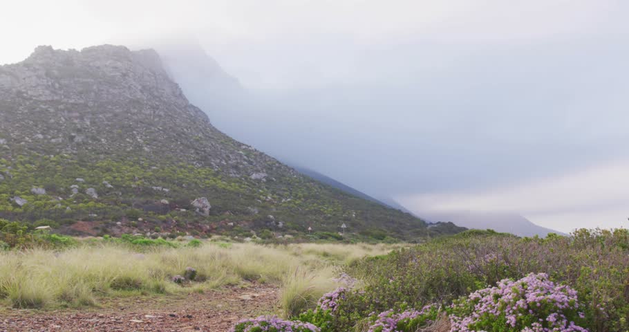 Hillside meadow under cloudy sky showing bars fading in, globe rotating, tech overlay receding. Landscape, nature, serenity, digital, interface, technology, tranquility