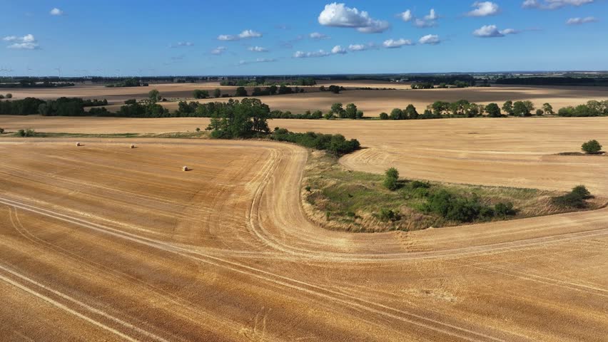 Aerial view of a golden harvested field dotted with hay bales, contrasting with the green tree line under a blue sky, Bruessow, Brandenburg, Germany.