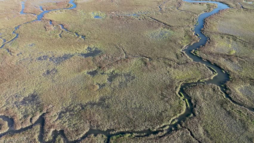 Aerial view of a river meandering through the marshland, creating contrasting textures between the water and the grassy landscape, Georgia, United States.