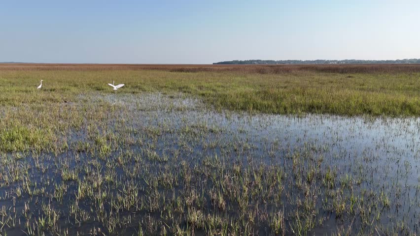 Aerial view of the McQueen
