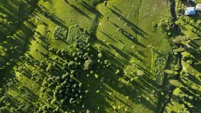 Aerial View of Lush Green Forest and Sunlit Terraced Landscape with Long Tree Shadows at Golden Hour — Peaceful Natural Scene with Dramatic Light and Dense Vegetation in a Remote Wilderness - Powered by Shutterstock - Get 15% off with code: PIKWIZARD15