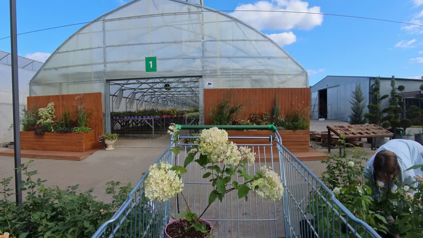 Woman buying flowers at garden center with shopping cart