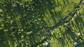 Aerial View of Lush Green Forest and Sunlit Terraced Landscape with Long Tree Shadows at Golden Hour — Peaceful Natural Scene with Dramatic Light and Dense Vegetation in a Remote Wilderness - Powered by Shutterstock - Get 15% off with code: PIKWIZARD15