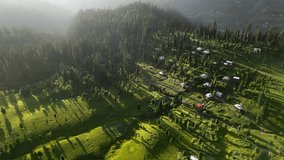 Aerial View of Lush Green Forest and Sunlit Terraced Landscape with Long Tree Shadows at Golden Hour — Peaceful Natural Scene with Dramatic Light and Dense Vegetation in a Remote Wilderness - Powered by Shutterstock - Get 15% off with code: PIKWIZARD15