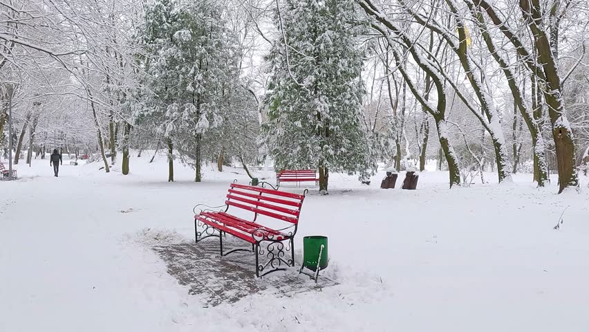 Lonly man walks in winter park, Ternopil, Ukraine. Red bench in the snowy Topilche park. Fresh snow covered alley and trees in botanical garden. 4K video (Ultra High Definition).