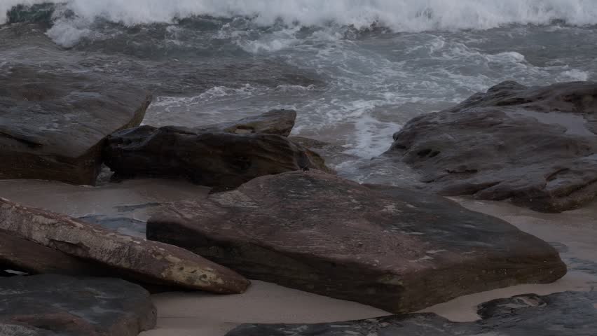 Aerial circling shot, anti-clockwise, two sooty oystercatchers revealed just above the breaking waves.