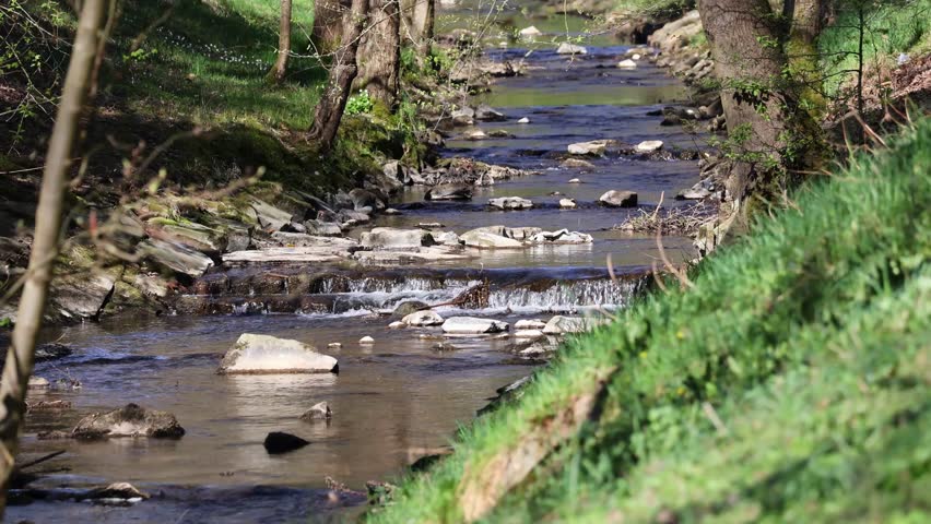 Idyllic stream landscape with riverbank vegetation.