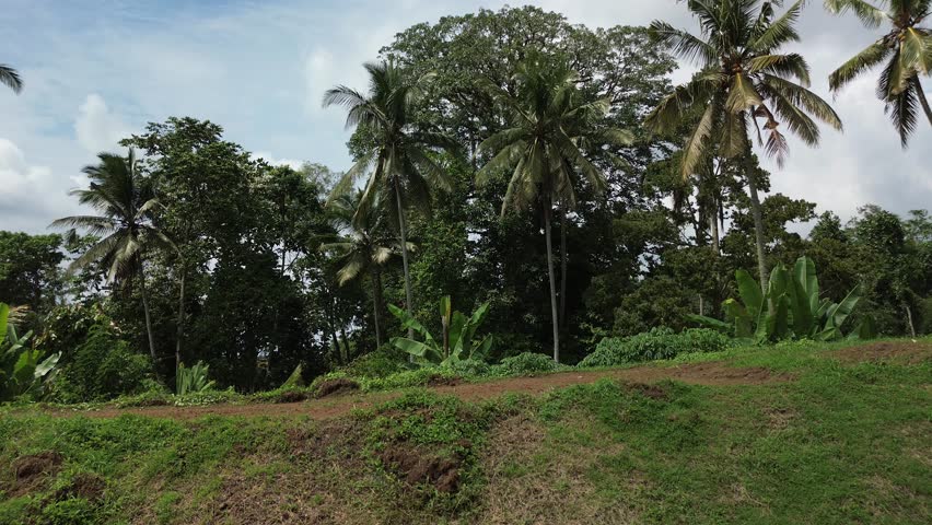An aerial view of enduro motocross. Riders compete on the trail in the off-road category. Riders train on motorcycles, jumping up and down hills at high speed and performing tricks.