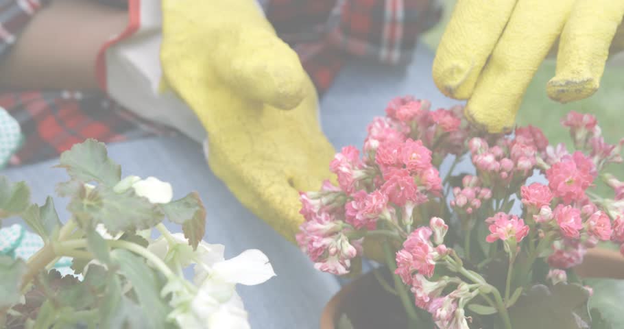 Yellow-gloved gardener hands positioning pot as glitchy code bars sweeping in updating globe years. Gardening, horticulture, technology, data visualization, environmental, growth, nature