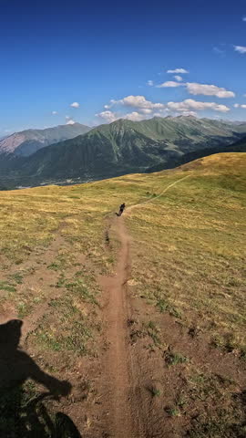 Mountain biker navigating winding trail through lush green hills under blue sky