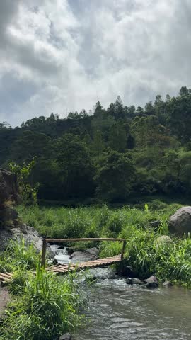 A beautiful small stream flows gently through a peaceful valley, with bamboo bridge, crystal clear water sparkling under the sunlight. The creek runs between lush green grass and natural vibes