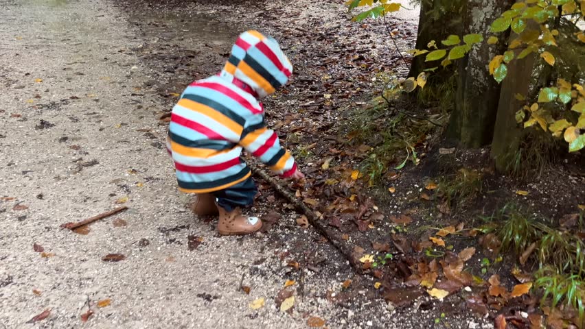 A little boy in colorful raincoat and rubber boots walks through a park with a huge stick. The child stomps through puddles during an autumn walk in the forest. Children and nature.