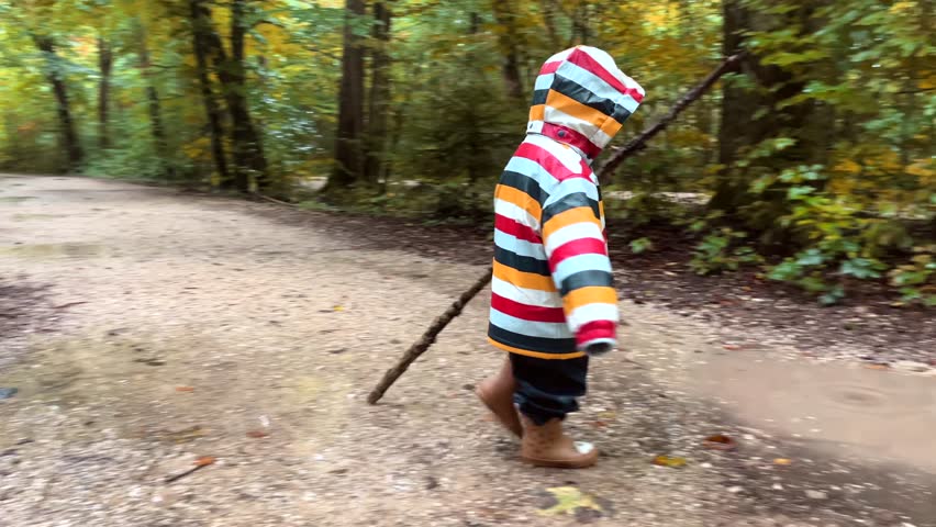 A little boy in raincoat and rubber boots walks through a park with a huge stick. The child stomps through puddles during an autumn walk in the forest. Children and nature.