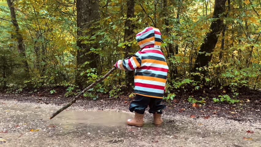 A little boy in colorful raincoat and rubber boots walks through a park with a huge stick. The child stomps through puddles during an autumn walk in the forest. Children and nature.