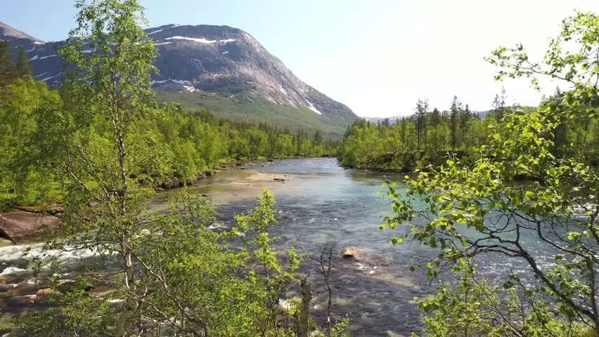 Serene mountain landscape with a clear river flowing through lush green forests under a bright blue sky.
