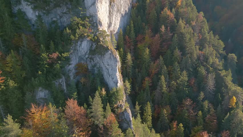 Aerial Panorama of Rocky Cliff in Autumn Mountain Forest Nature