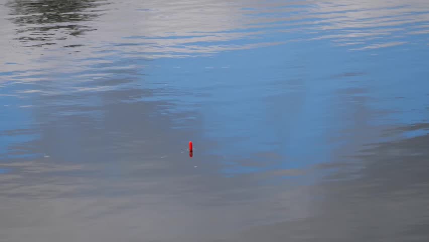 The Exciting Moment a Fish Bites and Pulls the Float Underwater - Fishing Bobber Sinks Under the Water, Signaling a Fish Bite
