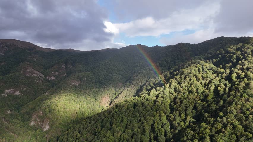 Aerial drone footage of lush forest mountains with a vibrant rainbow under cloudy sky