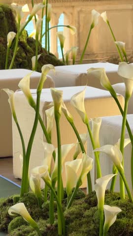 close up video terrace at Isola del Garda decorated with white lilies, and soft white poufs for outdoor wedding ceremony. Elegant destination wedding setup, luxurious lakeside event with lake view