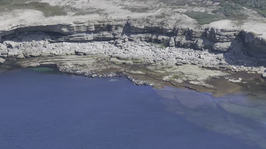 Sea Lions and Seals Resting together on the Coastline at Southwestern Edge (Pointe Sud-Ouest) on Anticosti Island, Quebec, Canada