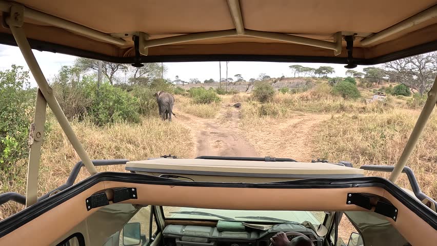 Safari jeep approaching elephants in Tarangire National Park, Tanzania