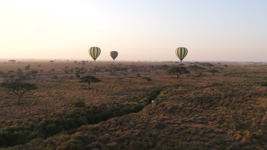Aerial view of hot air balloons in Serengeti National Park, Tanzania
